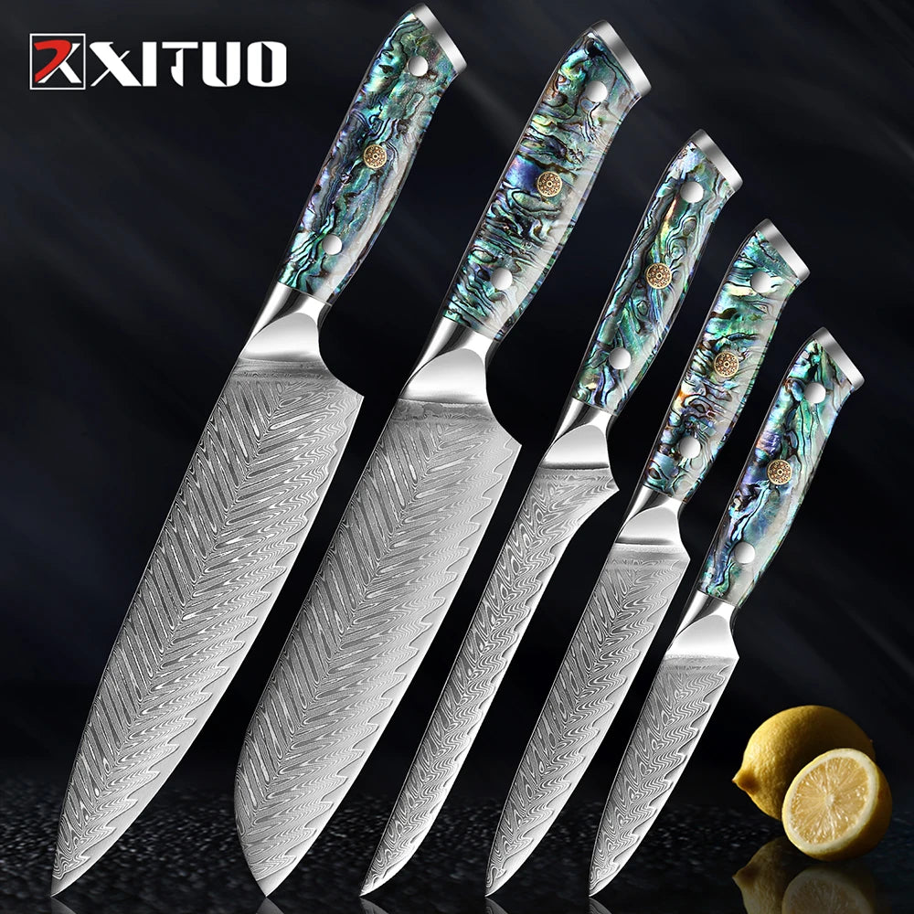 XITUO Damascus Steel knife Set 1-5 PCS Kitchen Tools Chef Knife Japanese Santoku Knives Boning knife Exquisite Shell Handle New