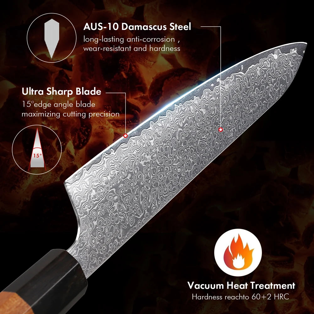 TURWHO Hand Forged Japanese Chef Knife Damascus Steel Santoku