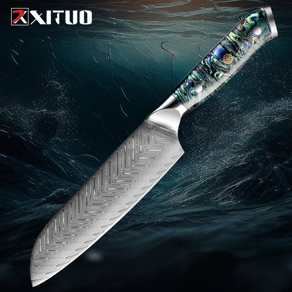 XITUO Damascus Steel knife Set 1-5 PCS Kitchen Tools Chef Knife Japanese Santoku Knives Boning knife Exquisite Shell Handle New