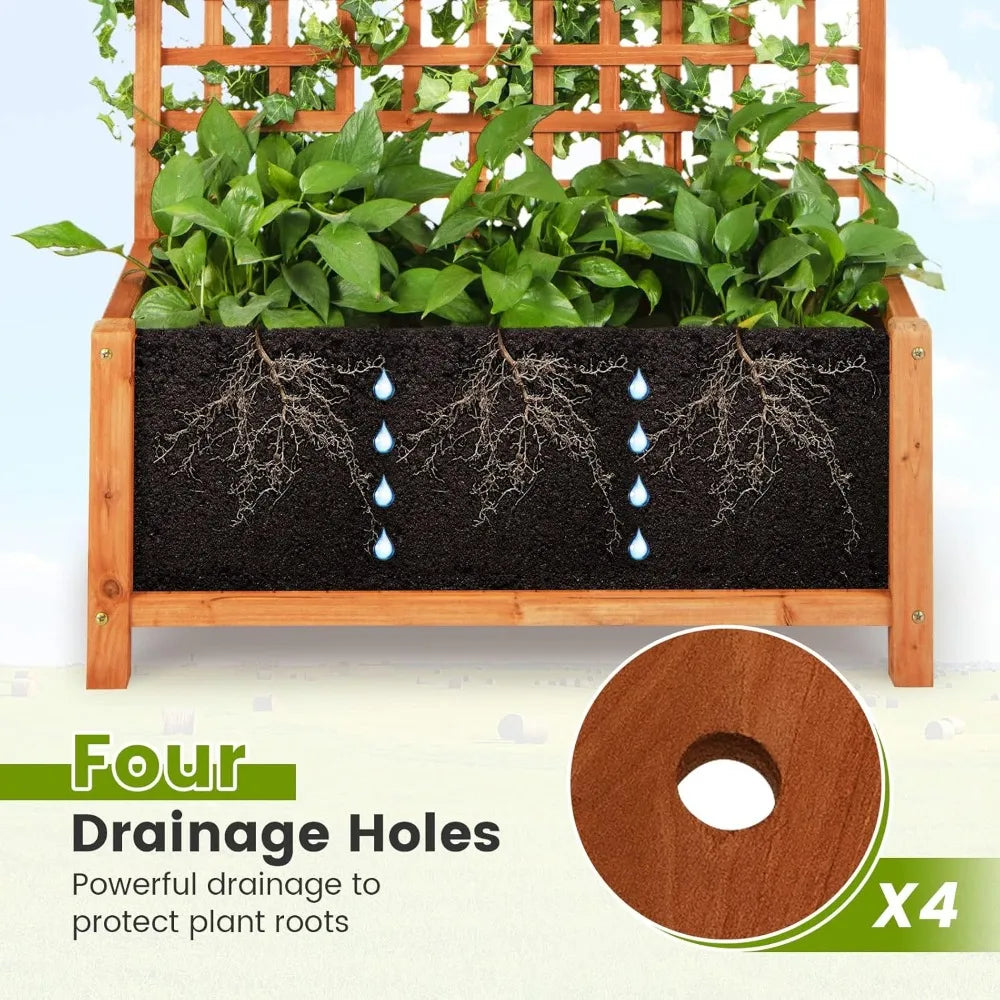 Raised Garden Bed With Trellis Planter And Drainage Holes