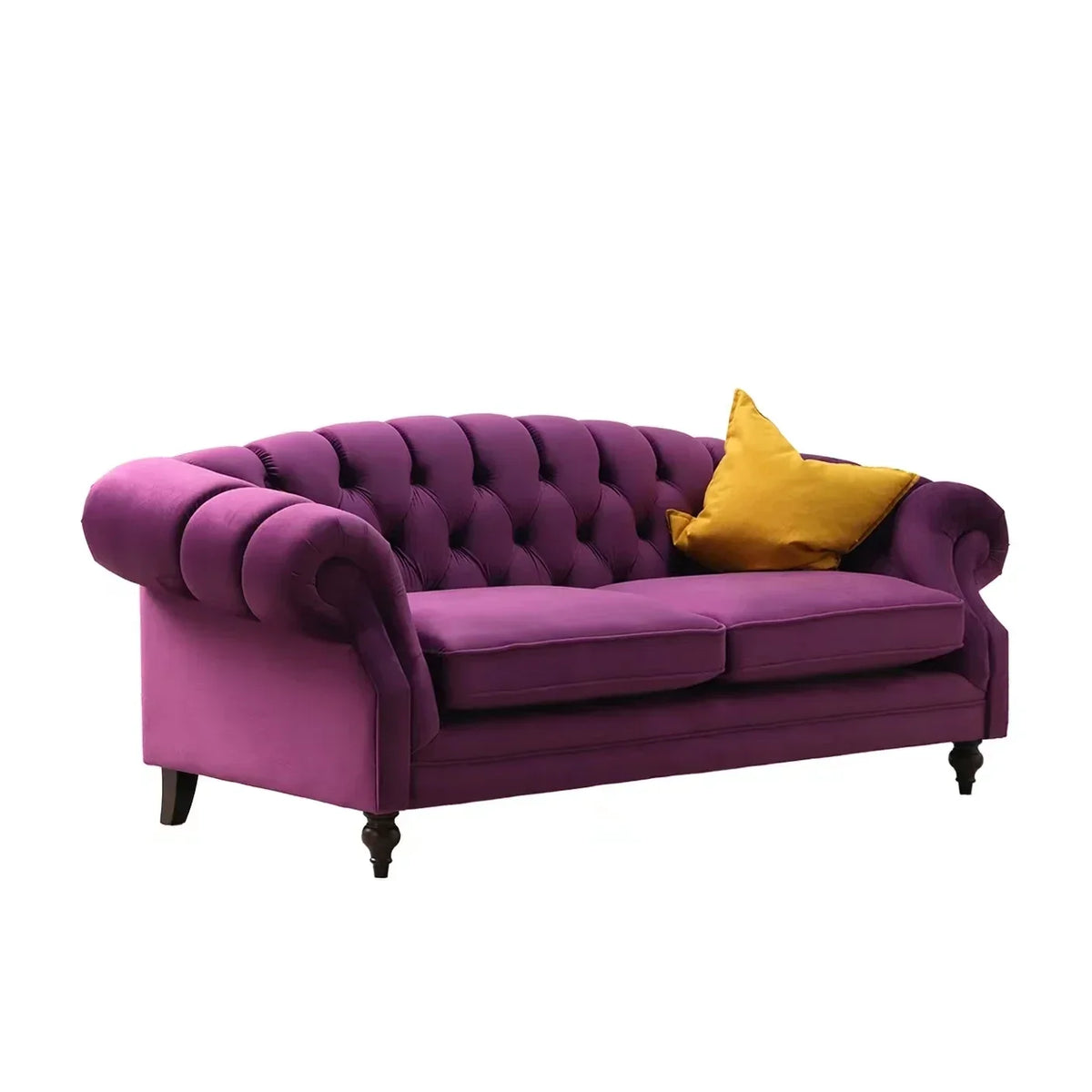 DUTRIEUX Modern Velvet Sleeper Sofa Couch for Living Room