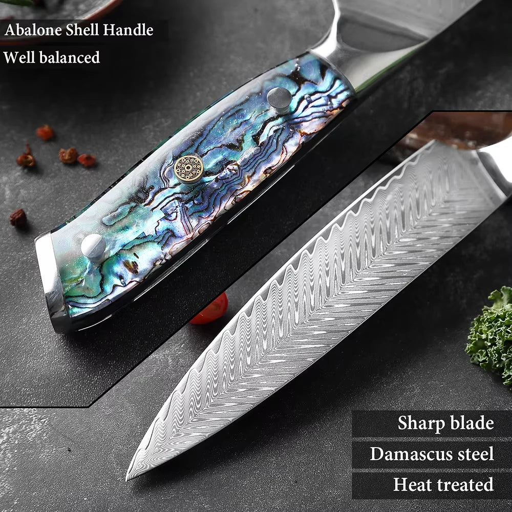 XITUO Damascus Steel knife Set 1-5 PCS Kitchen Tools Chef Knife Japanese Santoku Knives Boning knife Exquisite Shell Handle New