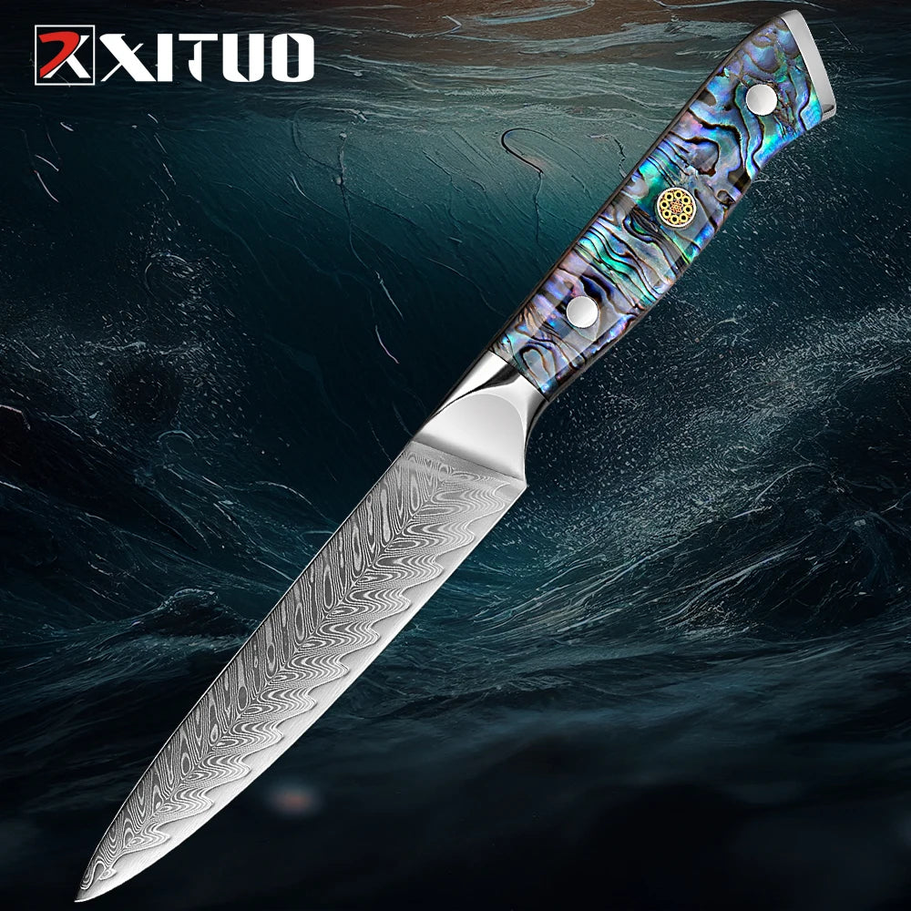XITUO Damascus Steel knife Set 1-5 PCS Kitchen Tools Chef Knife Japanese Santoku Knives Boning knife Exquisite Shell Handle New