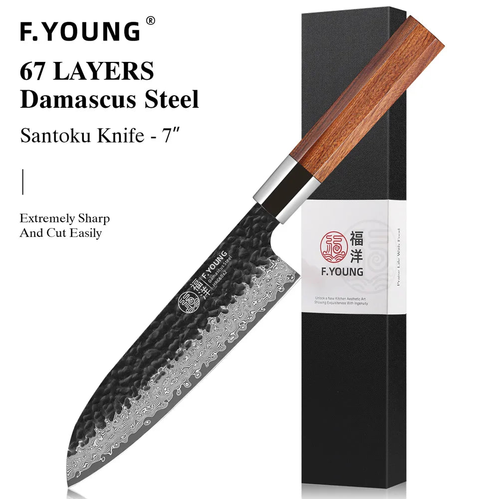 F.YOUNG Professional Kitchen Knives Damascus Steel Japanese Chef Knife Slicing Sashimi Utility Handmade Cooking Kitchen Utensils