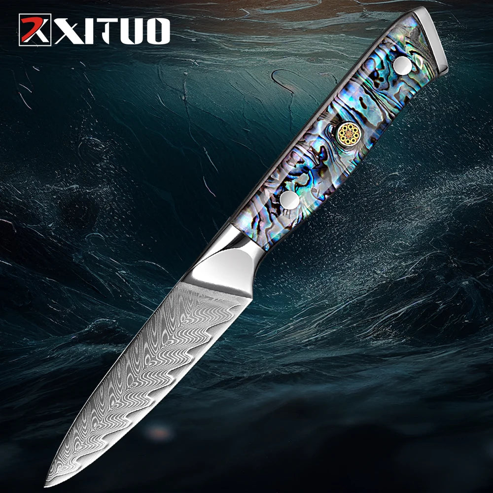 XITUO Damascus Steel knife Set 1-5 PCS Kitchen Tools Chef Knife Japanese Santoku Knives Boning knife Exquisite Shell Handle New