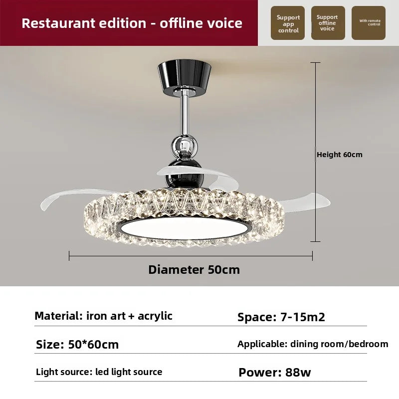 Brushed Stainless Ceiling Lamp For Living Room Foyer And Study