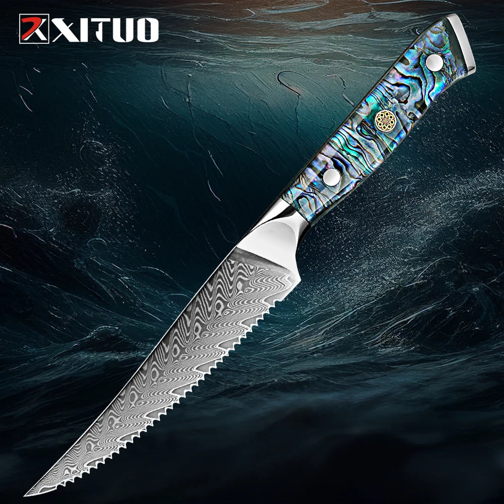 XITUO Damascus Steel knife Set 1-5 PCS Kitchen Tools Chef Knife Japanese Santoku Knives Boning knife Exquisite Shell Handle New