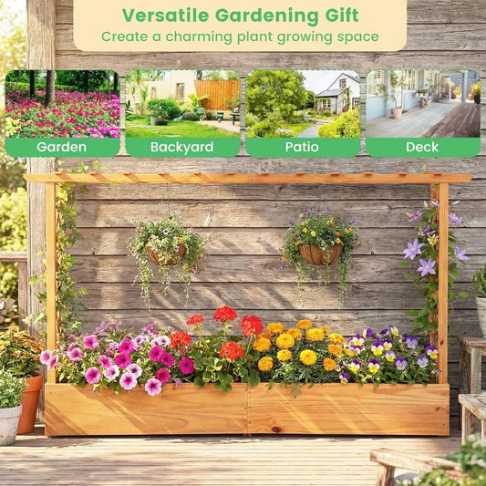 Raised Garden Bed With Trellis And Hanging Roof Planter Box