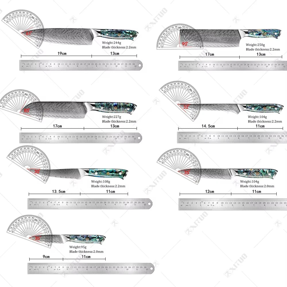 XITUO Damascus Steel knife Set 1-5 PCS Kitchen Tools Chef Knife Japanese Santoku Knives Boning knife Exquisite Shell Handle New